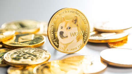 Un misterioso gran inversor de dogecoines pierde 17.000 millones de dólares de su fortuna