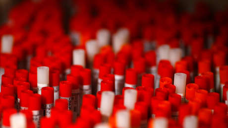 Descubren en el intestino humano casi 50.000 virus previamente desconocidos para la ciencia