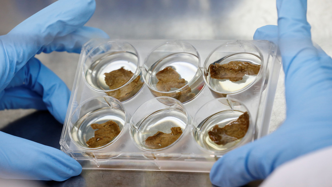 Una 'startup' que creó carne en 3D en el espacio recauda más de 100 millones de dólares