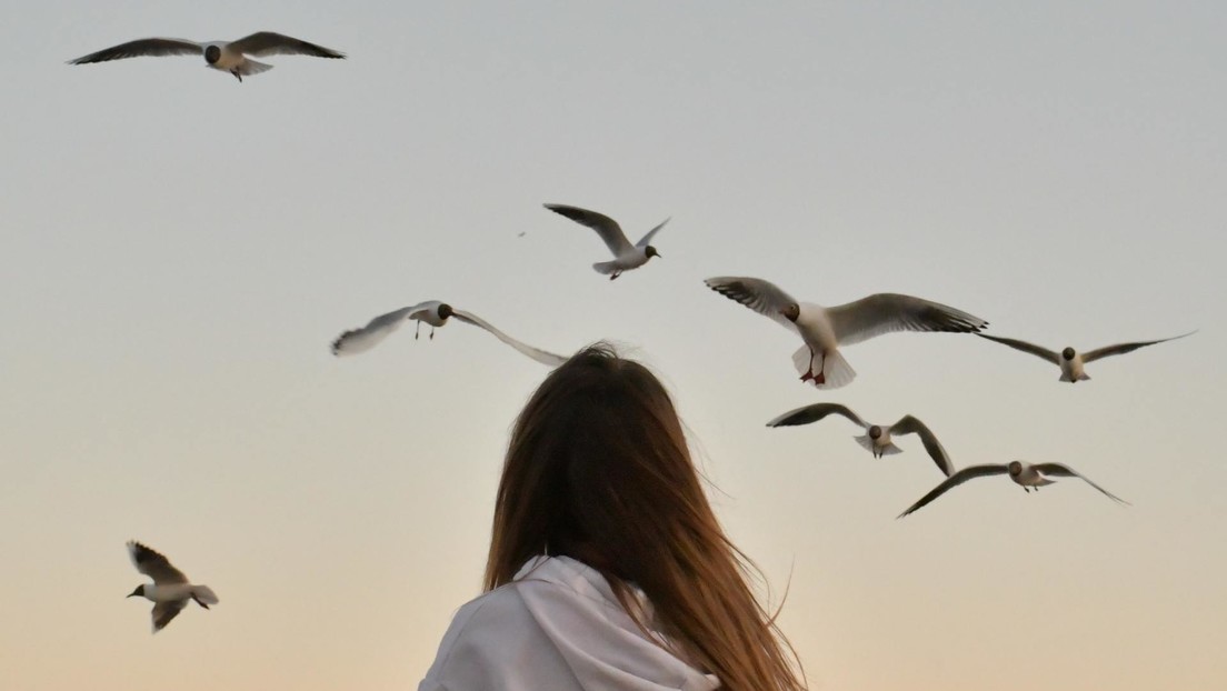 Colisión en el aire: una adolescente choca con una gaviota en pleno viaje en una atracción (VIDEO)
