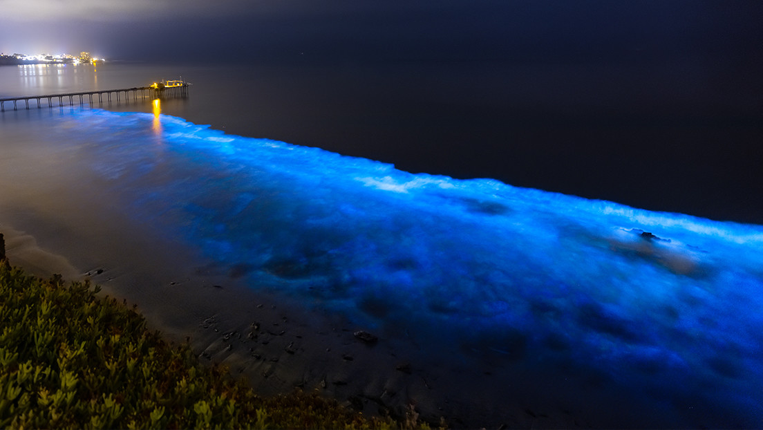 Datos satelitales ayudan a descifrar el misterio de los luminosos mares de ardora