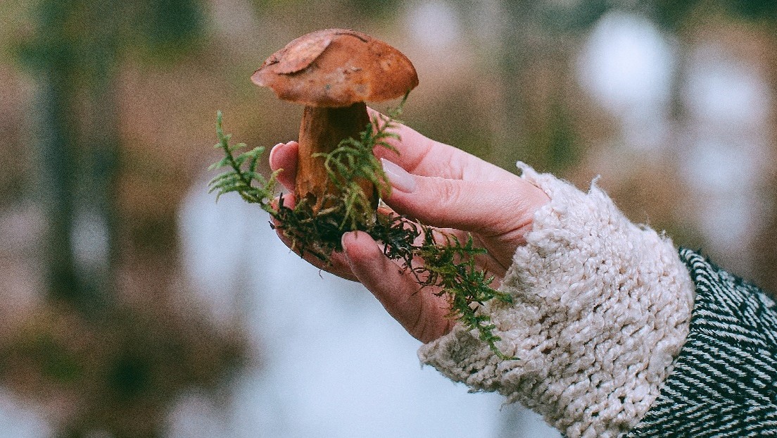 Goblincore: la tendencia de moda que elogia "caos, suciedad, barro" y contacto con la naturaleza y cosecha cientos de millones de visitas en TikTok