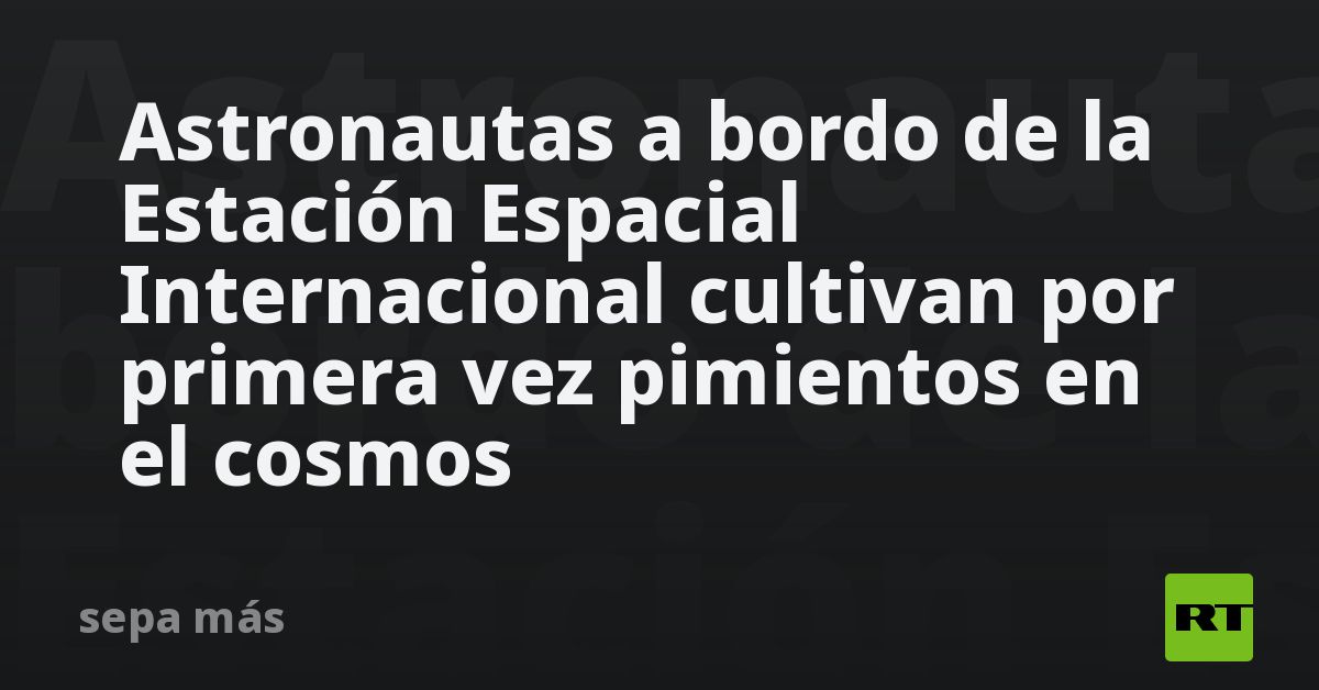 actualidad.rt.com