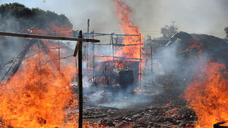 La Policía de Brasil desaloja por la fuerza a cientos de familias que habitaban un campo de refugiados en un terreno de Petrobras (VIDEOS, FOTOS)