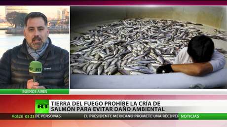Una provincia de Argentina promulga una ley que prohíbe la cría de salmones