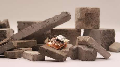 VIDEO: Crean un 'robot-cucaracha' que resiste un pisotón humano