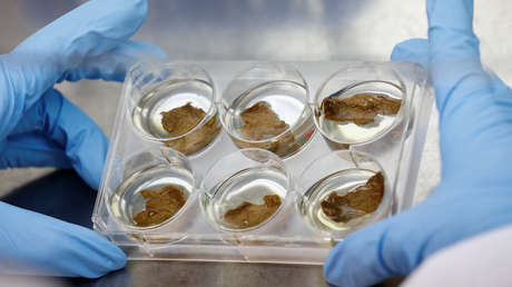 Una 'startup' que creó carne en 3D en el espacio recauda más de 100 millones de dólares