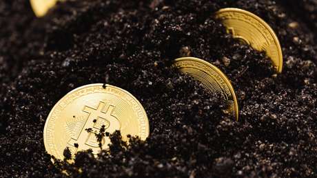 Hombre que extravió su fortuna en bitcoines en un vertedero afirma que ahora valen más de 370 millones de dólares