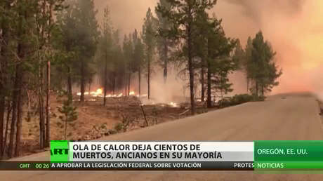 Una ola de calor deja cientos de muertos en EE.UU.