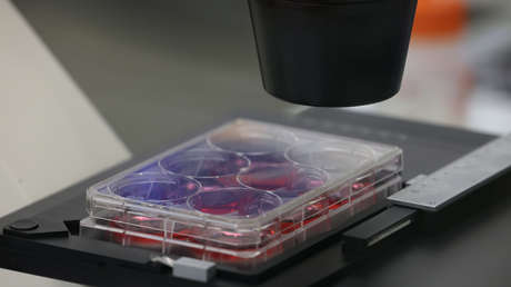 Epidemiólogo jefe de EE.UU. asegura que es más probable que el origen del covid-19 sea natural