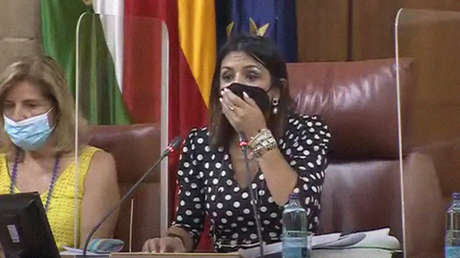 Una rata se cuela en un Parlamento autonómico en España y provoca el pánico entre los presentes (VIDEO)