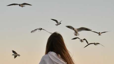 Colisión en el aire: una adolescente choca con una gaviota en pleno viaje en una atracción (VIDEO)