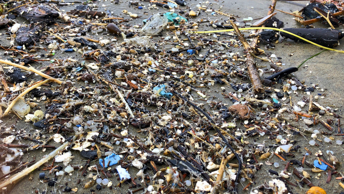 Revelan un efecto perturbador de los microplásticos en la salud humana