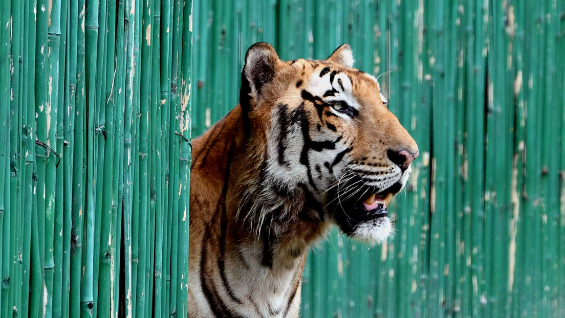 Prueban un método para recoger ADN en el aire