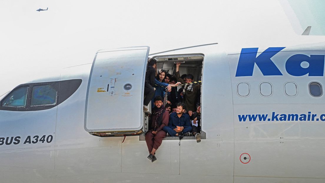 VIDEO, FOTOS: EE.UU. evacúa sus perros militares en medio del caos en el aeropuerto de Kabul