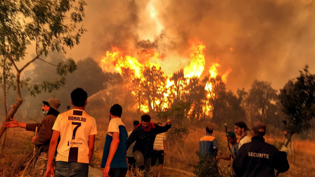 Detienen a 61 personas tras el linchamiento de un hombre acusado falsamente de provocar incendios forestales en Argelia