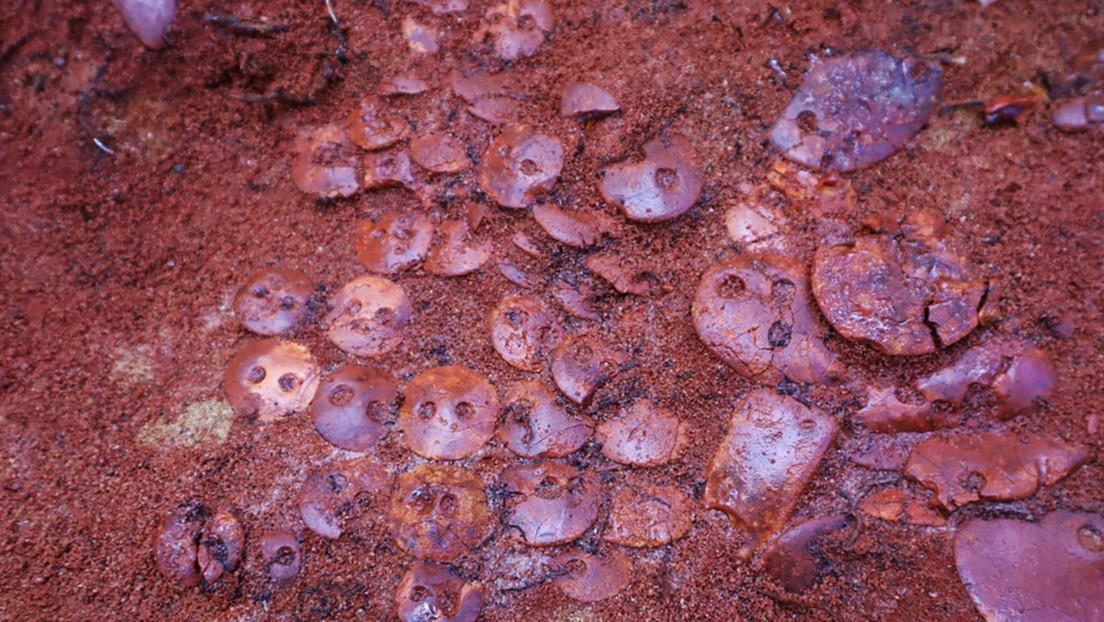 Estudiantes de arqueología rusos descubren un "excepcional" entierro de más de 5.000 años de antigüedad con 140 joyas de ámbar del báltico