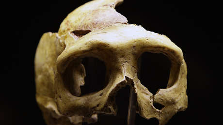 Científicos descubren que los neandertales tenían varios tipos de sangre al igual que los humanos modernos