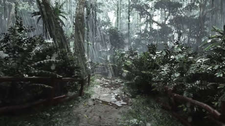 VIDEO: Así es la jungla bajo la lluvia en resolución 8K sobre la base del motor de juego Unreal Engine 5
