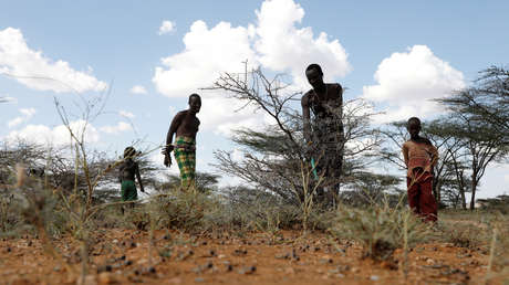 Oxfam: La reforestación del planeta para mitigar el cambio climático amenaza con agravar la hambruna