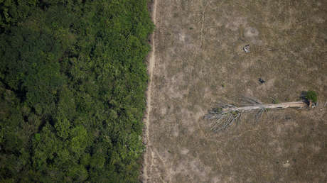 La Cámara de Diputados de Brasil aprueba un proyecto de ley para regularizar tierras ocupadas ilegalmente