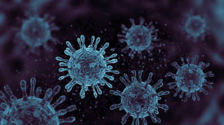 Un estudio descubre a qué se debe la inflamación agresiva que causa la muerte de pacientes con covid-19