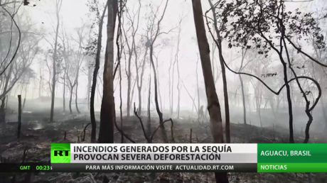 Los incendios generados por la sequía causan severa deforestación en Brasil