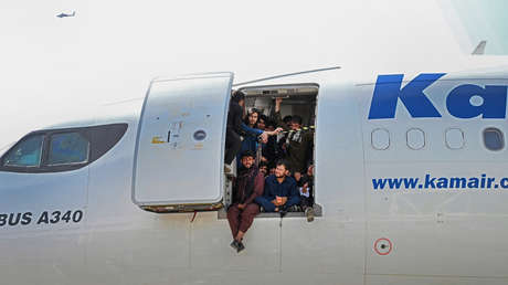 VIDEO, FOTOS: EE.UU. evacúa sus perros militares en medio del caos en el aeropuerto de Kabul