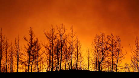 "El clima está jodido": un famoso inversionista de riesgo sugiere apostar por los fondos en tecnologías verdes