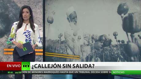 Drogas en Afganistán: una guerra fallida tras 20 años de presencia occidental