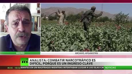 Experto sobre la crisis afgana: "Es muy difícil combatir el narcotráfico porque es un ingreso clave para Afganistán"
