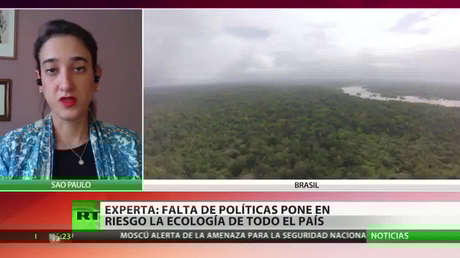 La falta de lucha contra la deforestación seca Brasil
