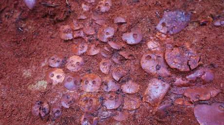 Estudiantes de arqueología rusos descubren un "excepcional" entierro de más de 5.000 años de antigüedad con 140 joyas de ámbar del báltico