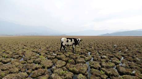 Una 'mancha caliente del sur' contribuye desde el océano Pacífico a la megasequía en Chile