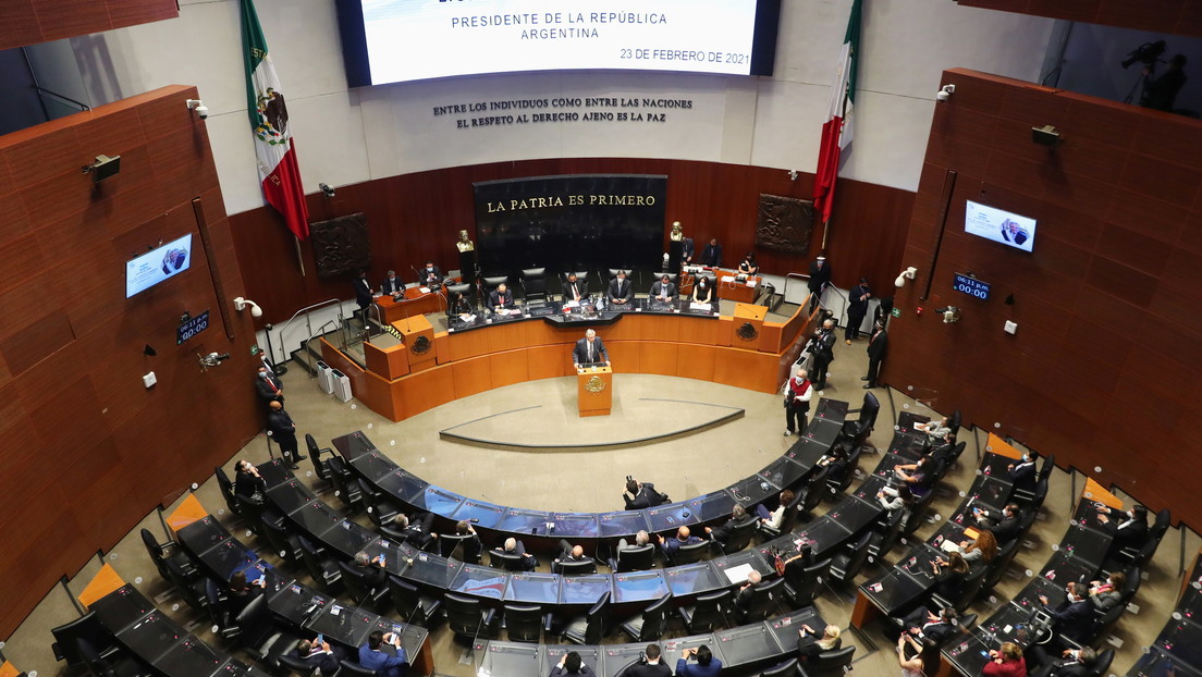 México se convierte en el primer país de América del Norte que prohíbe las pruebas de cosméticos en animales