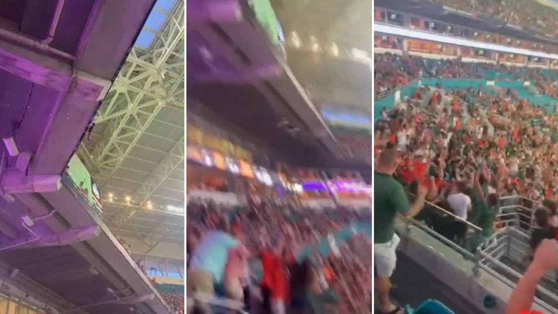 Hinchas llevan a cabo una operación para rescatar a un gato que quedó colgado del techo de un estadio en EE.UU. (VIDEO)