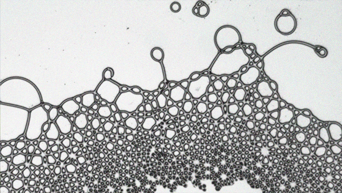"Casi imposible en la naturaleza": Un grupo de físicos crea gotas cuadradas usando campos eléctricos (VIDEO)