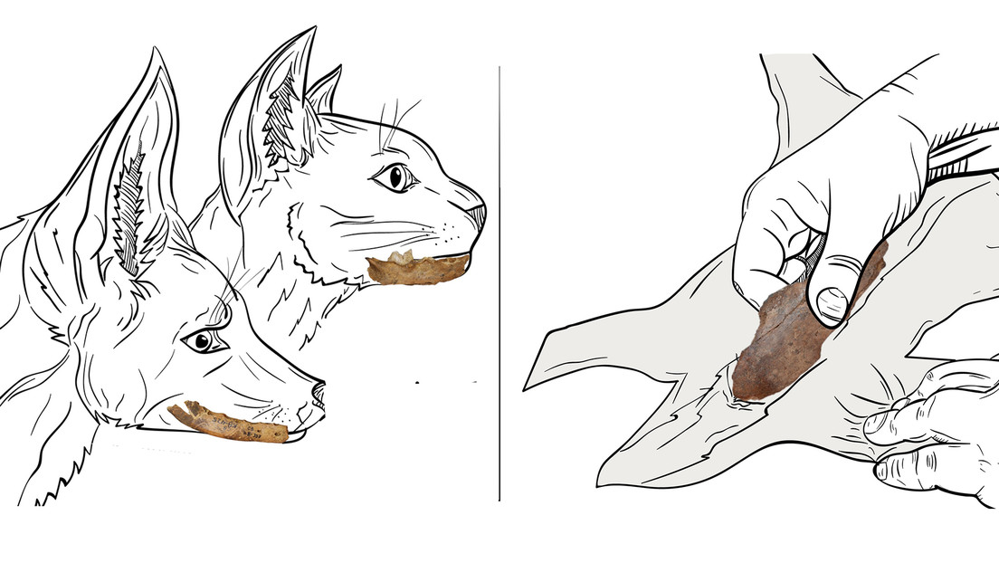 Científicos hallan evidencias de que el ser humano hacía ropa hace unos 120.000 años