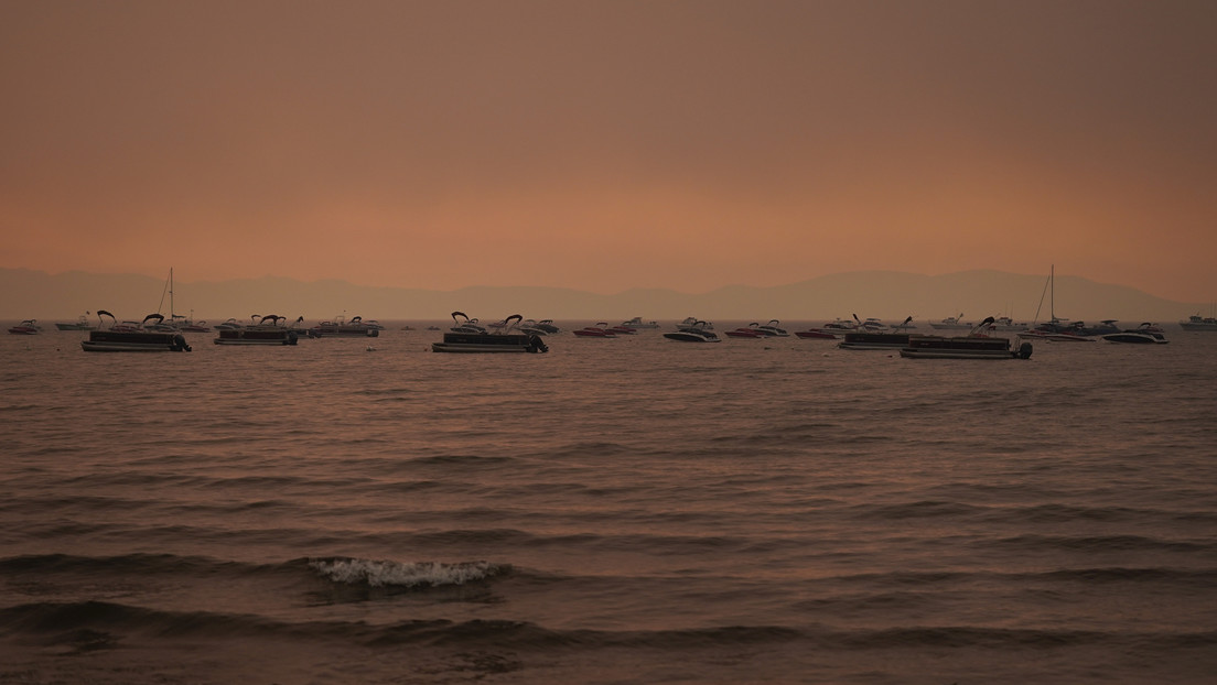 Una "sopa tóxica" contribuyó a la peor extinción masiva de la Tierra (y parece estar volviendo a suceder)