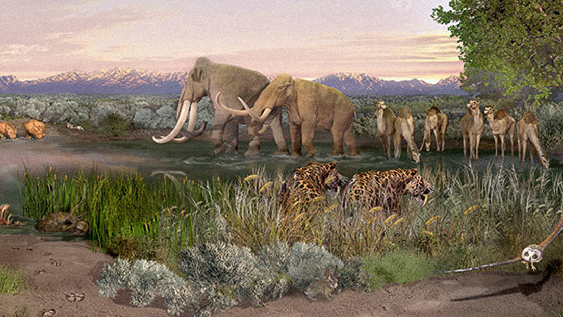 Descubren unas huellas fosilizadas de más de 21.000 años que sugieren que Norteamérica se pobló varios milenios antes de lo que se pensaba