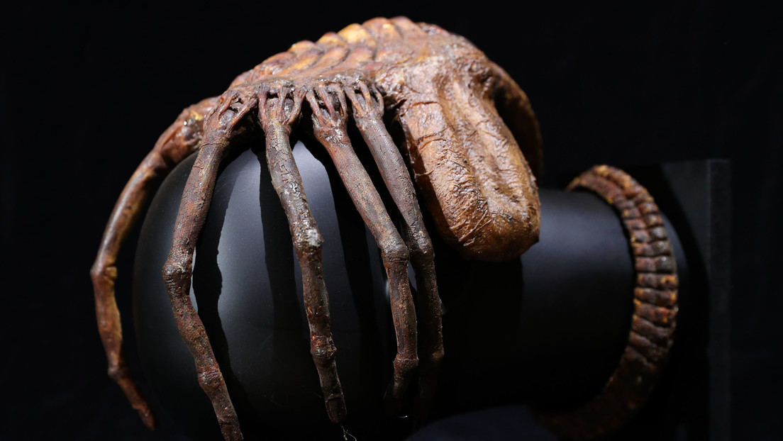 Un 'xenomorfo' de 'Alien' viajó junto a la misión civil de SpaceX (Video)