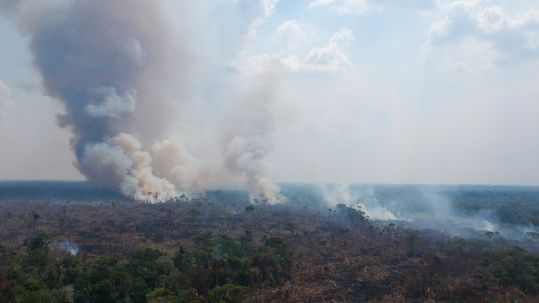 Brasil puede "ser excluido del nuevo orden económico-climático": más de un centenar de empresas instan a liderar la lucha contra el cambio climático