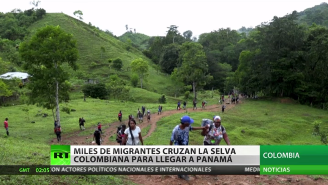 Miles de migrantes haitianos cruzan cada día la selva colombiana para llegar a Panamá rumbo a EE.UU.