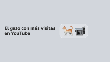 VIDEO: Un gato japonés entra en el libro Guinness de los récords como el gato con más visitas en YouTube