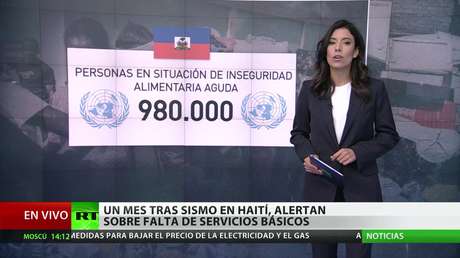 Haití: Un mes tras el terremoto, alertan sobre la falta de servicios básicos