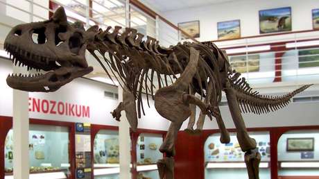 Científicos analizan la piel fosilizada de un dinosaurio y descubren que algunas partes tienen forma de diamante