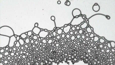 "Casi imposible en la naturaleza": Un grupo de físicos crea gotas cuadradas usando campos eléctricos (VIDEO)