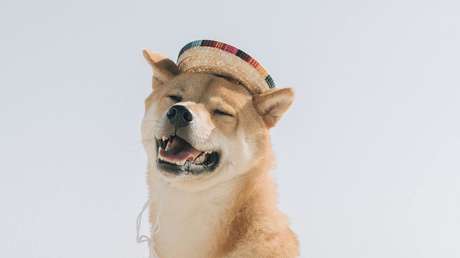 Coinbase acepta Shiba Inu y la criptomoneda meme se dispara casi un 30 %