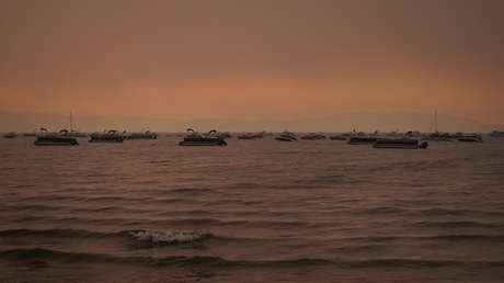 Una "sopa tóxica" contribuyó a la peor extinción masiva de la Tierra (y parece estar volviendo a suceder)
