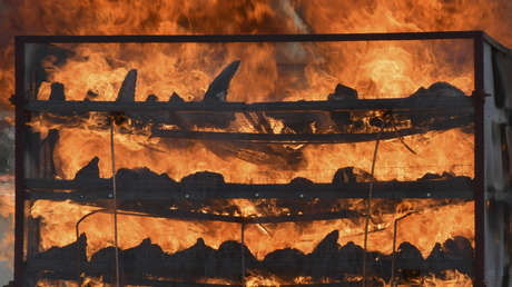 FOTO: Con ayuda de drones queman en la India casi 2.500 cuernos de rinoceronte para reafirmar que no tienen ningún valor curativo